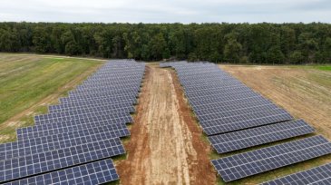 DJI_20241015122956_0390_D.MP4.00_04_43_03.Still003