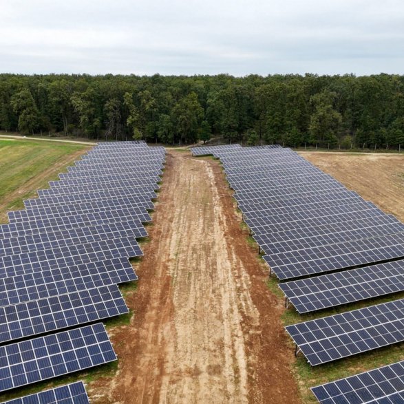 DJI_20241015122956_0390_D.MP4.00_04_43_03.Still003