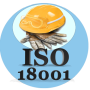 iso-18001-NEW-25