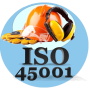 iso-45001-NEW-25